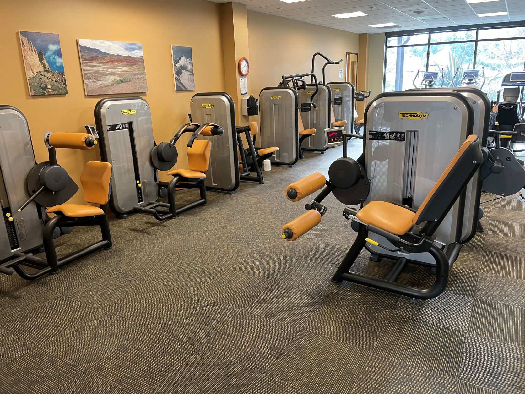 Picture of Cardio and Strength Room