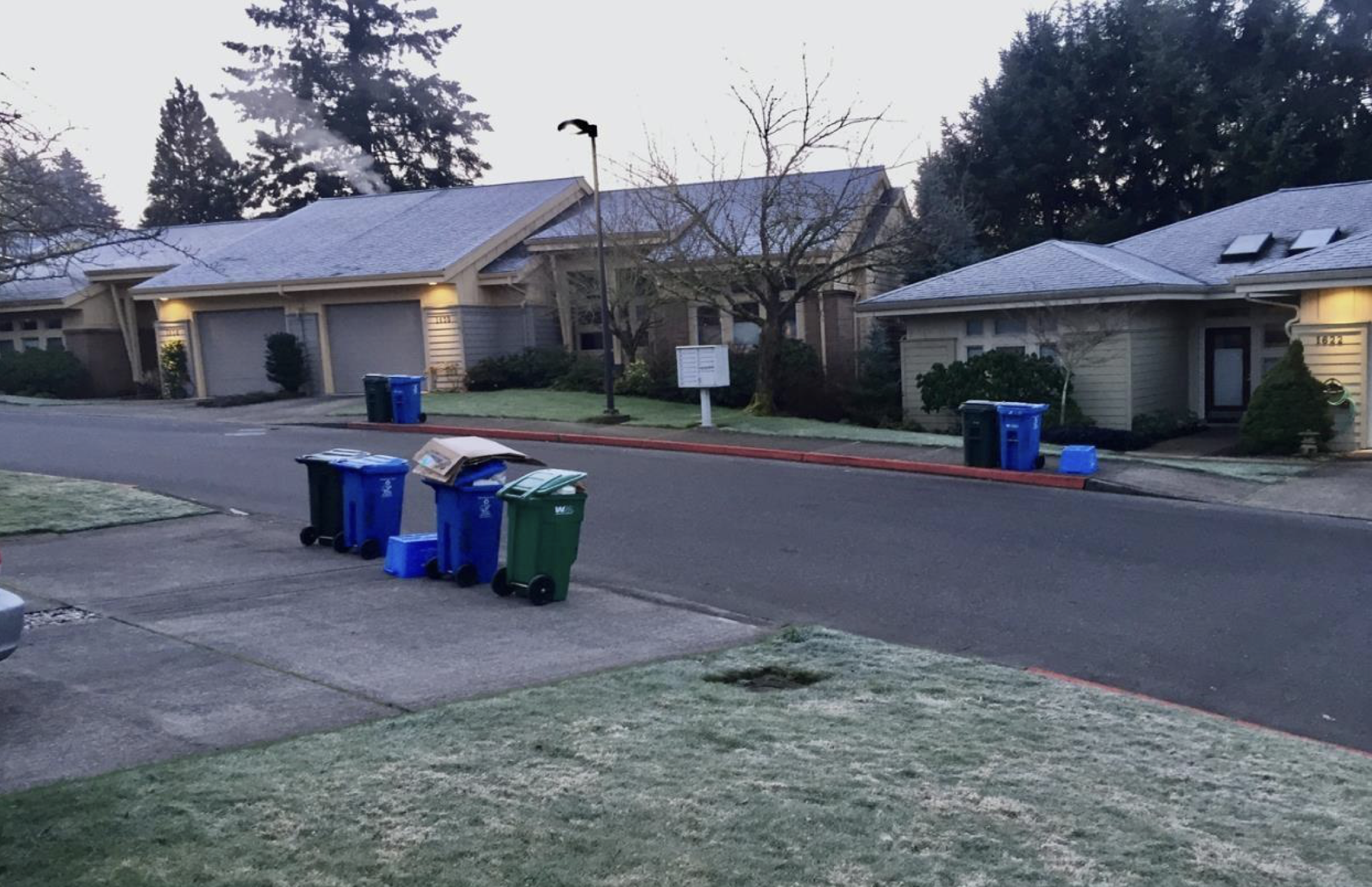 River Ridge street view with waste collection containers