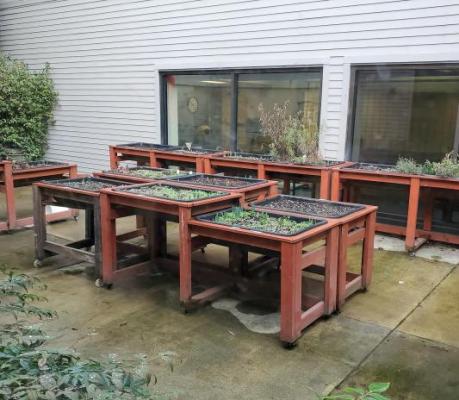 A photo of the Raised-Bed Gardens