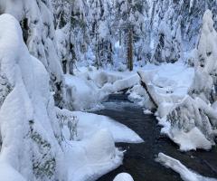 2024-01-15 on Little Zigzag Falls trail