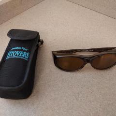 Brown/black sunglasses and JP Fitovers glass case.