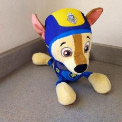 Paw Patrol Stuffed animal found at the Plaza building.