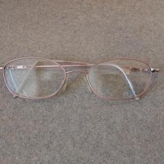 Glasses: rose gold bi-focal glasses found in Riverview.