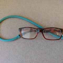 Glasses: brown & black with green croakie found in Riverview.