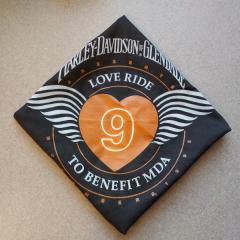 Bandana: Harley Davidson of Glendale found in the Terrace 2nd floor lobby.