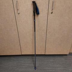 Black/silver walking stick by Distance Z (with black/blue wrist strap) found by the North Point Rose Garden.