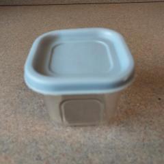 Small square tupperware plastic container.