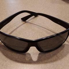 Black plastic sunglasses found in the Terrace.