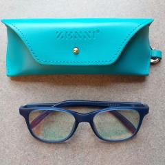 Blue and black reading glasses and case found in the Manor first floor hallway.