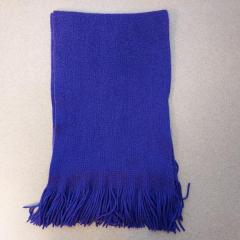 Long purple scarf with fringe by Echo found in the Blue Heron Auditorium.