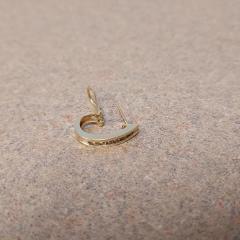 Gold earring with diamonds found in the Manor lobby.