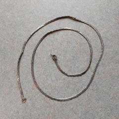 Silver chain necklace found in the Terrace entrance.