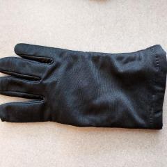 Black glove found in the Manor Library.