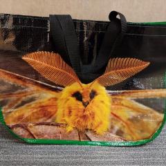 The Nature Conservatory reusable shopping bag left in The Pantry.