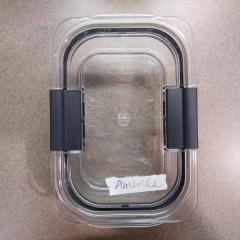 Clear "tupperware" with clear lid (labeled Amanda) found in the Manor Library.